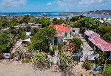 The Old House Book Launches with Giveaway at Amuseum Naturalis on Saturday