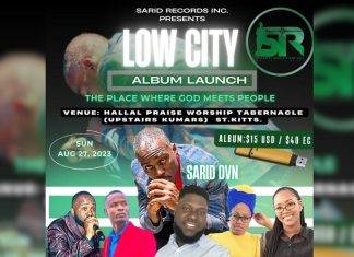 SARID DVN TO INTRODUCE DEBUT ALBUM ON USB DRIVES