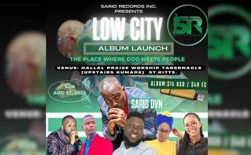 SARID DVN TO INTRODUCE DEBUT ALBUM ON USB DRIVES