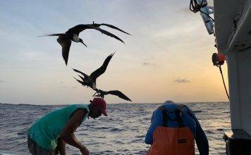 10 Year Saba Bank Fisheries Research reveals new Opportunities for Fishermen