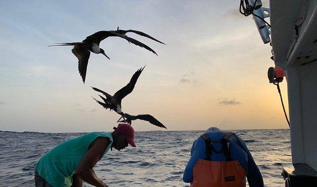 10 Year Saba Bank Fisheries Research reveals new Opportunities for Fishermen