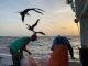 10 Year Saba Bank Fisheries Research reveals new Opportunities for Fishermen
