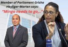 Grisha says Mingo needs to go, will propose parliamentary inquiry on PJIA