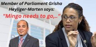 Grisha says Mingo needs to go, will propose parliamentary inquiry on PJIA