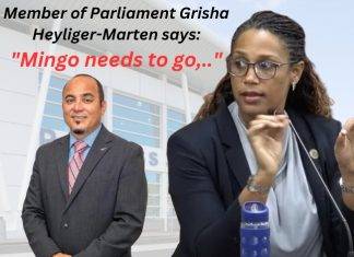 Grisha says Mingo needs to go, will propose parliamentary inquiry on PJIA