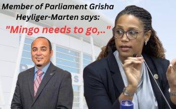 Grisha says Mingo needs to go, will propose parliamentary inquiry on PJIA
