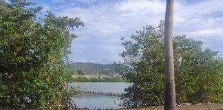 Progress underway for bird viewing platform on Great Salt Pond