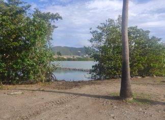 Progress underway for bird viewing platform on Great Salt Pond