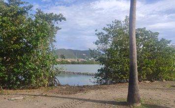 Progress underway for bird viewing platform on Great Salt Pond