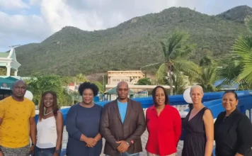 SMAF elected new board members
