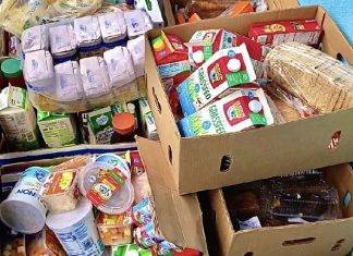 Freegan Food Foundation successfully completed its intakes in July