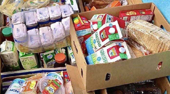 Freegan Food Foundation successfully completed its intakes in July