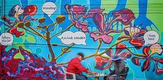 Mara Bailey Wins 2024 SHTA Event Calendar Photo Contest