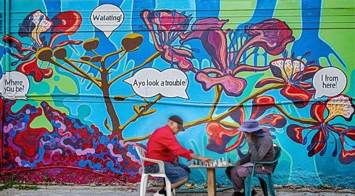 Mara Bailey Wins 2024 SHTA Event Calendar Photo Contest