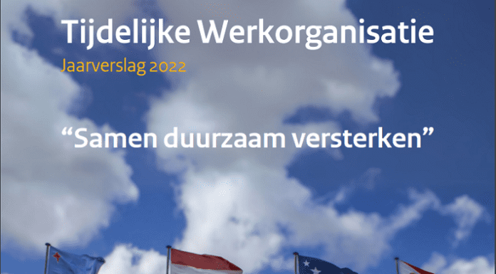 2022 Annual Report of Temporary Work Organisation: Strengthening together sustainably