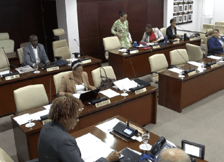 Central Committee meeting of Parliament regarding the Ombudsman Year Report 2022