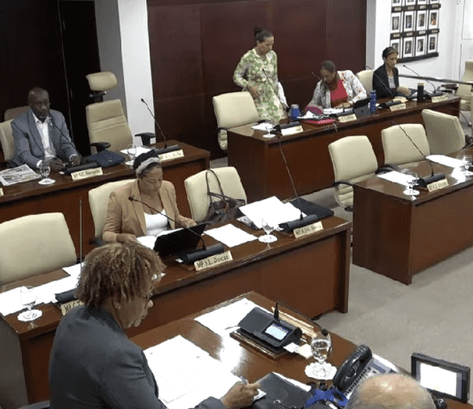 Central Committee meeting of Parliament regarding the Ombudsman Year Report 2022
