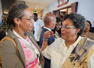 Grisha: “Attending AfriCaribbean Trade and Investment Forum confirmed that our Government is asleep at the wheel.”