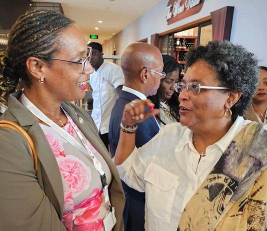 Grisha: “Attending AfriCaribbean Trade and Investment Forum confirmed that our Government is asleep at the wheel.”