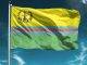 Flags and St. Martin Day