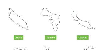 DCNA steps into a New Era of Governance with Two-Tier Board System Implementation