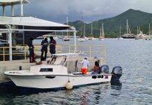 34 citations in the last 2 weeks