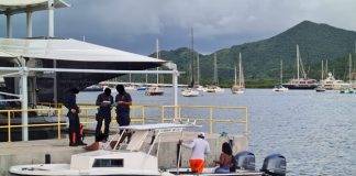 34 citations in the last 2 weeks