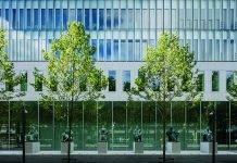 AG withdraws Supreme Court Appeal in case against Regina LaBega, Fabian Badejo, and other defendants