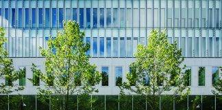 AG withdraws Supreme Court Appeal in case against Regina LaBega, Fabian Badejo, and other defendants