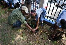 Hillside Christian Schools celebrate “Plant-A-Tree Day” with the Nature Foundation