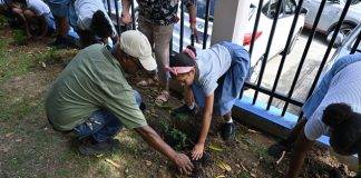 Hillside Christian Schools celebrate “Plant-A-Tree Day” with the Nature Foundation