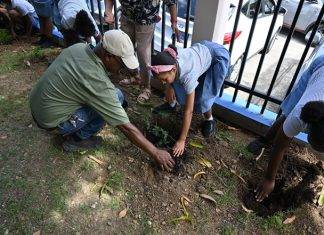 Hillside Christian Schools celebrate “Plant-A-Tree Day” with the Nature Foundation