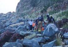 Deceased Male Found on Hiking Path Near Belair Beach