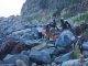 Deceased Male Found on Hiking Path Near Belair Beach
