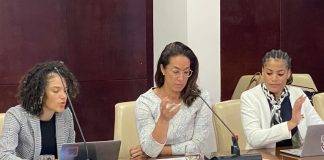 Central Voting Bureau public hearing accordance with Article 87