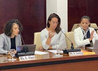 Central Voting Bureau public hearing accordance with Article 87