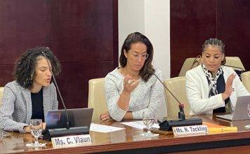 Central Voting Bureau public hearing accordance with Article 87