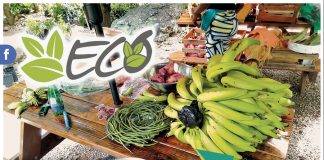 Money grows on trees