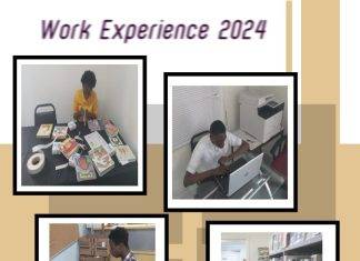 Successful completion of work experience at the Sint Maarten Library