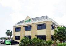 Strategic Options for Ennia Aruba