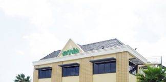 Strategic Options for Ennia Aruba