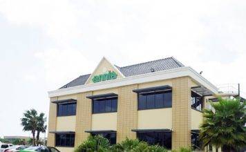 Strategic Options for Ennia Aruba
