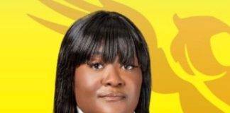 Langlais: Environment, energy solutions requires political will