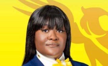 Langlais: Environment, energy solutions requires political will