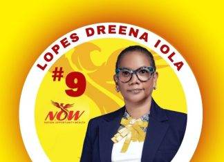 Prioritizing the Basics for a Brighter Future: My Vision for Sint Maarten