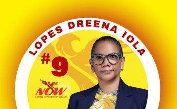 Prioritizing the Basics for a Brighter Future: My Vision for Sint Maarten