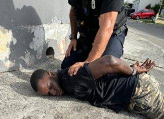 Attempted assault on police officer and destruction of police vehicle by suspect who was later apprehended by French Authorities