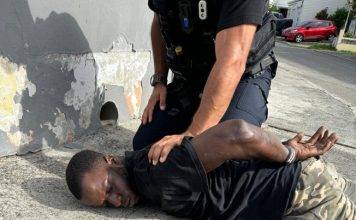 Attempted assault on police officer and destruction of police vehicle by suspect who was later apprehended by French Authorities