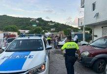 Ongoing Controls and Safety Measures to Curb Gun Violence and Ensure Community Safety