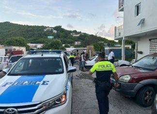 Ongoing Controls and Safety Measures to Curb Gun Violence and Ensure Community Safety